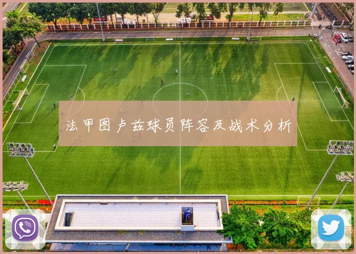 法甲图卢兹球员阵容及战术分析