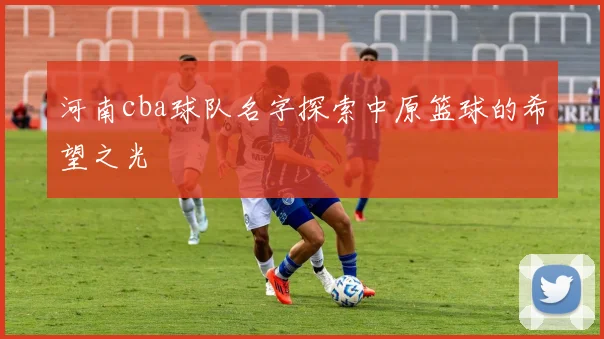 河南cba球队名字探索中原篮球的希望之光