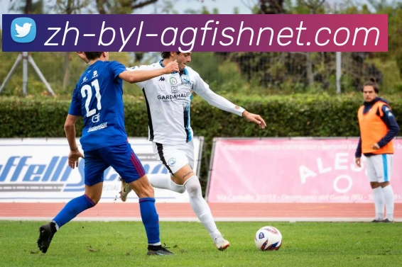 AG捕鱼王官网APP 高清赛事图