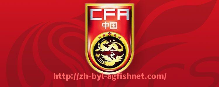 AG捕鱼王官网-NBA火箭队经典比赛录像重播及技术动作点评